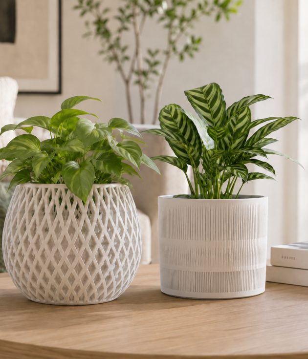 Maia Modern 3D Printed Planter Set